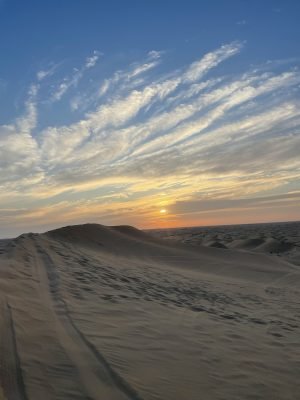 img_0715.jpg