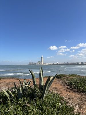 img_1443.jpg